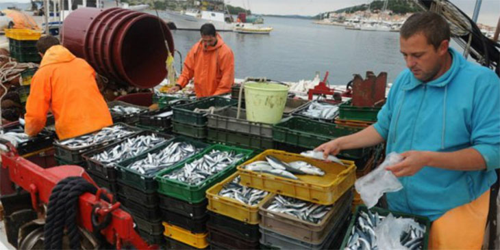 Maroko i Unia Europejska podpisały nową Umowę o Rybołówstwie