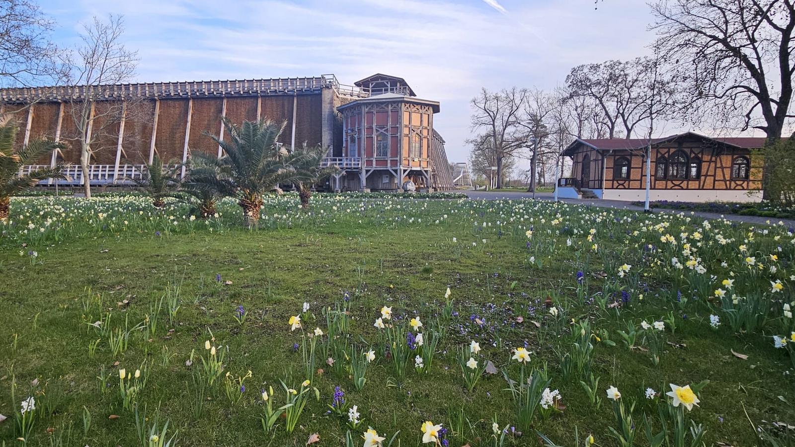 Wizyta studyjna w Saksonii-Anhalt